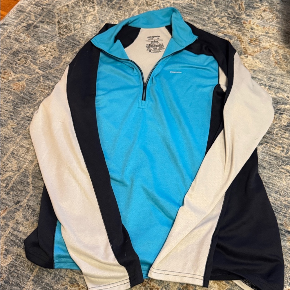 Patagonia Blue and White Pullover